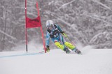 IMG_8113