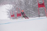IMG_8124