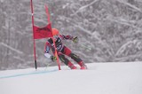IMG_8126