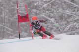 IMG_8127
