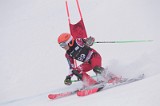 IMG_8132