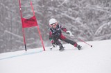 IMG_8172