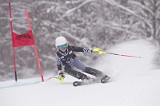 IMG_8201