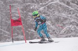 IMG_8215