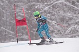 IMG_8216