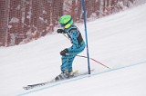 IMG_8223