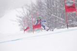 IMG_8224