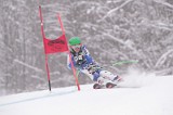 IMG_8229