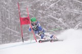 IMG_8230