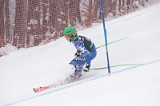 IMG_8238