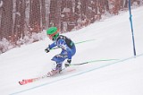 IMG_8239
