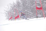 IMG_8240