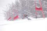 IMG_8242
