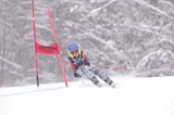 IMG_8244