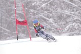 IMG_8245