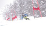 IMG_8271