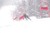 IMG_8280
