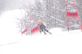 IMG_8281