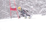 IMG_8282