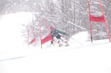 IMG_8295