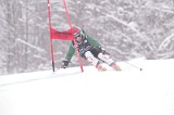 IMG_8296