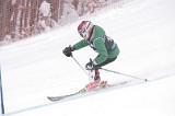 IMG_8305