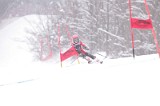 IMG_8338