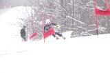 IMG_8351
