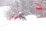 IMG_8354