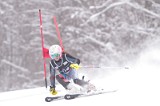 IMG_8360