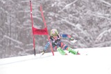 IMG_8373