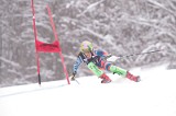 IMG_8375