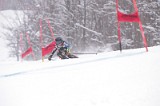 IMG_8390