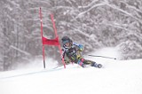 IMG_8392