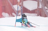 IMG_8405