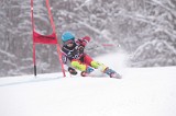 IMG_8411