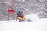 IMG_8412