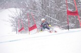 IMG_8424