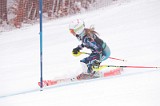 IMG_8437