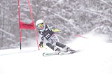 IMG_8444