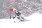 IMG_8445