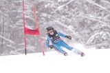 IMG_8460