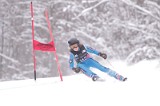 IMG_8461