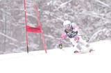 IMG_8474