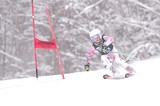 IMG_8475