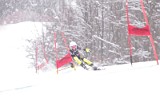 IMG_8484