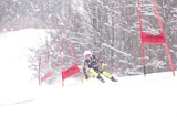 IMG_8485