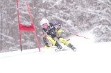IMG_8488