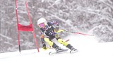 IMG_8489
