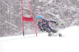IMG_8503